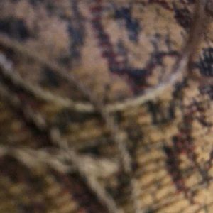 Meet your Posher, Renelda